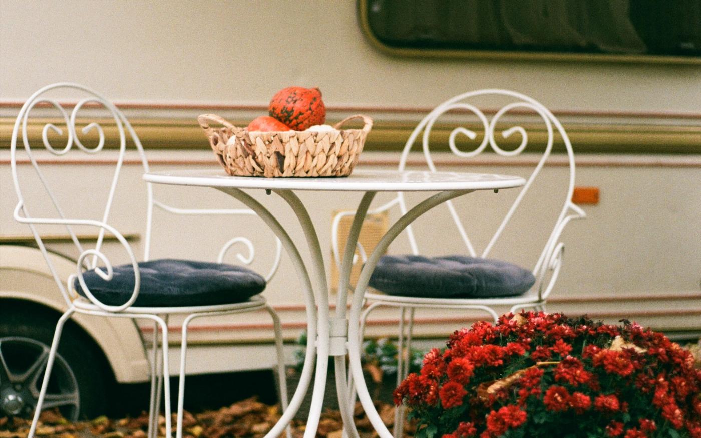 red and white flowers on white table by Olena Bohovyk courtesy of Unsplash.