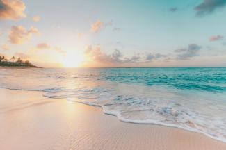 seashore during golden hour by Sean Oulashin courtesy of Unsplash.