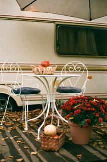 red and white flowers on white table by Olena Bohovyk courtesy of Unsplash.